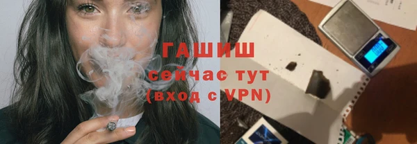 шишки Сатка