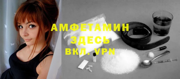 шишки Сатка