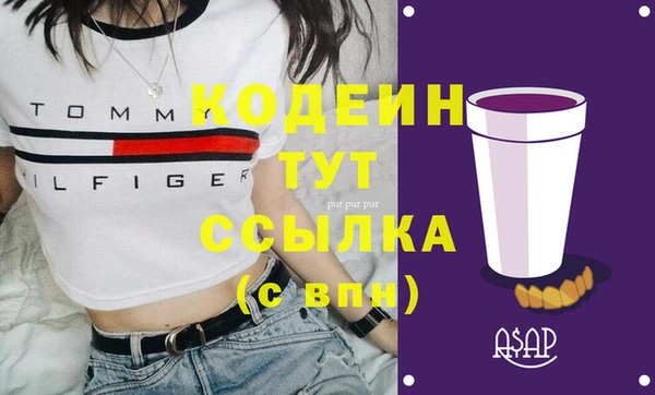 дмт Тавда