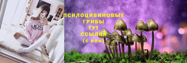 MESCALINE Покровск
