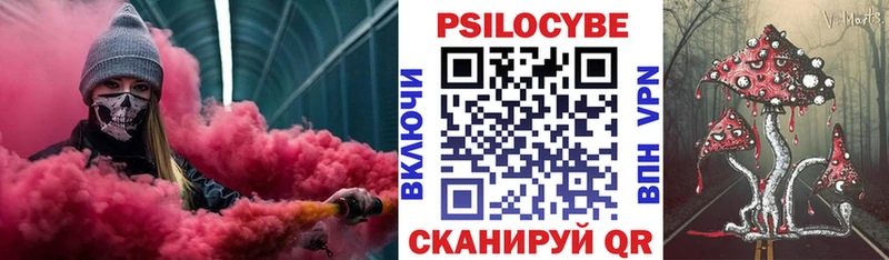 Галлюциногенные грибы Psilocybe Полярный